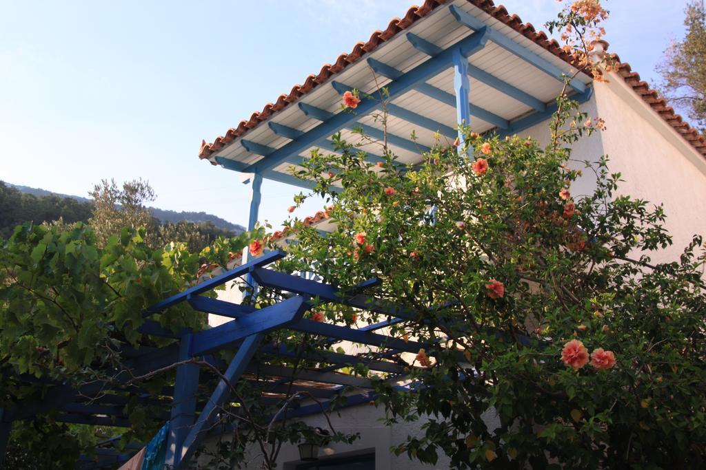 Appartamento Blue Horizon Marathókampos Esterno foto